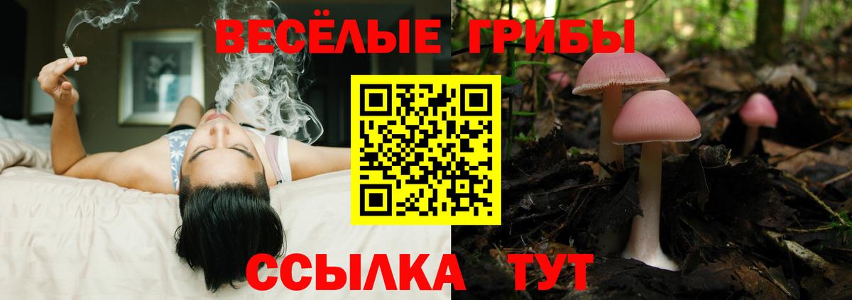 Псилоцибиновые грибы Magic Shrooms  Вход с VPN  Тихвин 
